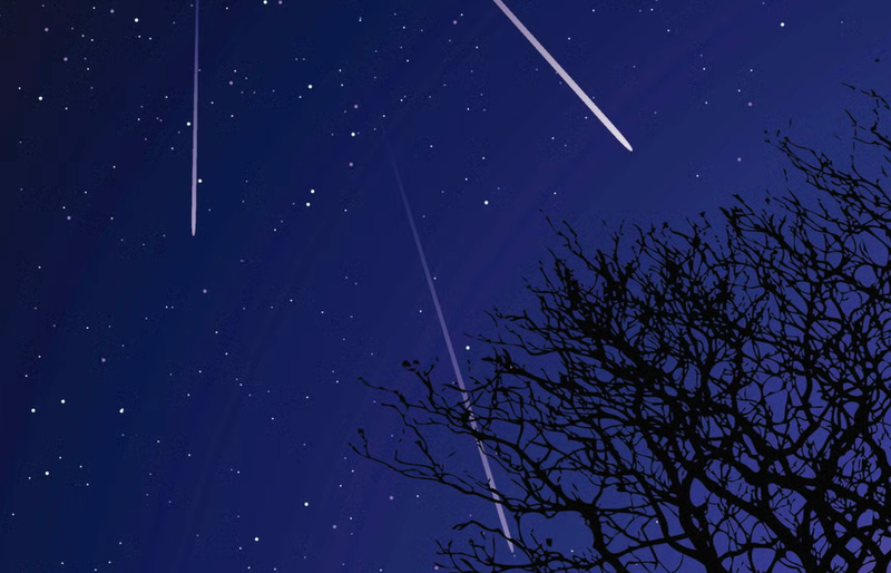 Orionid meteor shower from Halley's Comet peaks October 21 into 22 under a bright moon