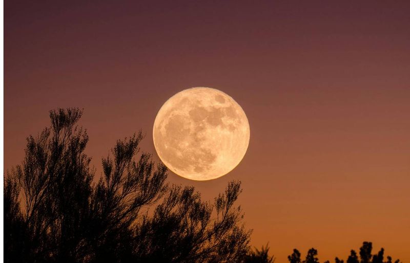 October's Hunter's Moon rises October 25 near Saturn in UK and US skies