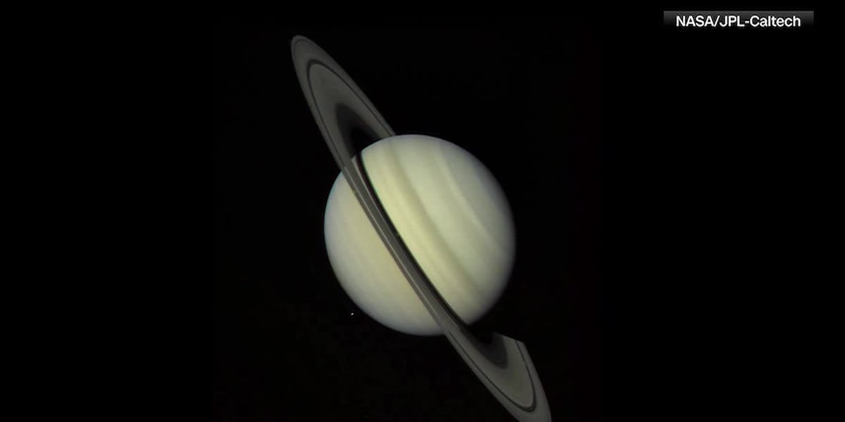Saturn glows beside October's Hunter's Moon as the ringed planet nears peak visibility