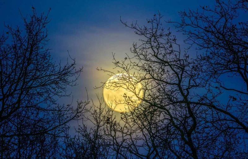 October's full moon, the Hunter's Moon, peaks early on October 26