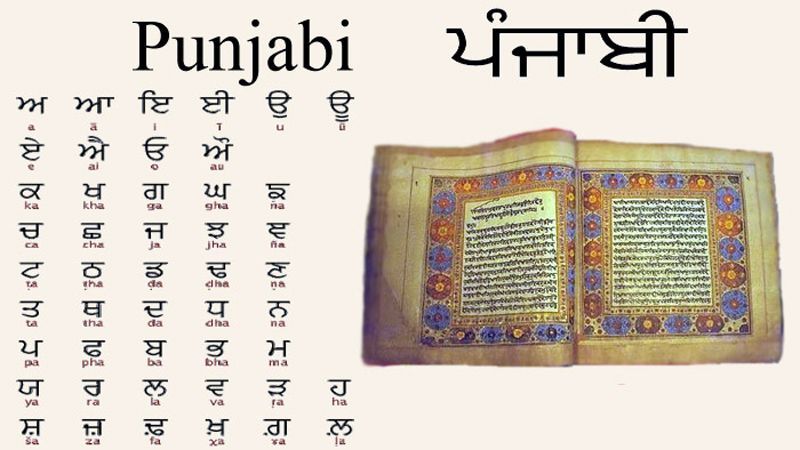 Srinagar filmmaker Ali Emran releases a book promoting Kashmir's Sufi heritage