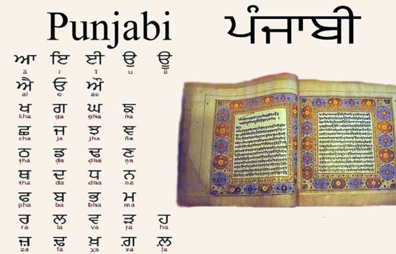 Srinagar filmmaker Ali Emran releases a book promoting Kashmir's Sufi heritage