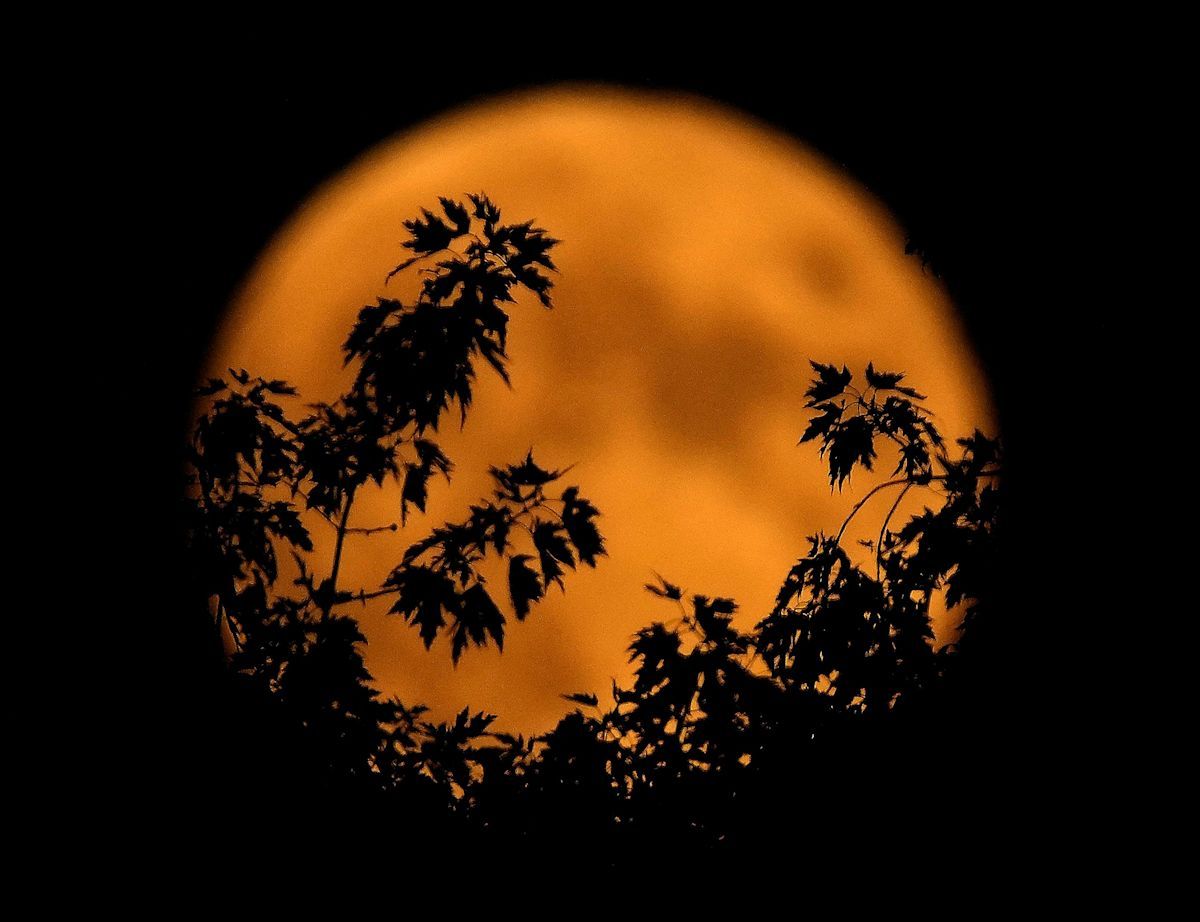 October's Hunter's Moon peaks early October 26, days before Halloween