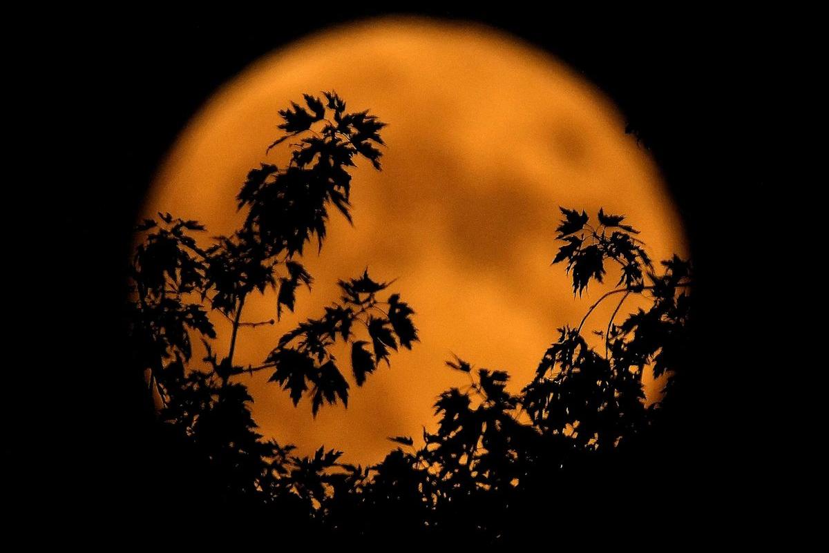 October's Hunter's Moon peaks early October 26, days before Halloween