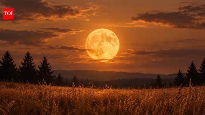 October's Hunter's Moon peaked early October 26 at 12:11 a.m. EDT