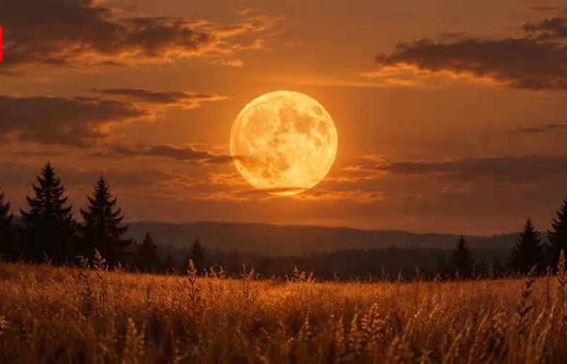 October's Hunter's Moon peaked early October 26 at 12:11 a.m. EDT