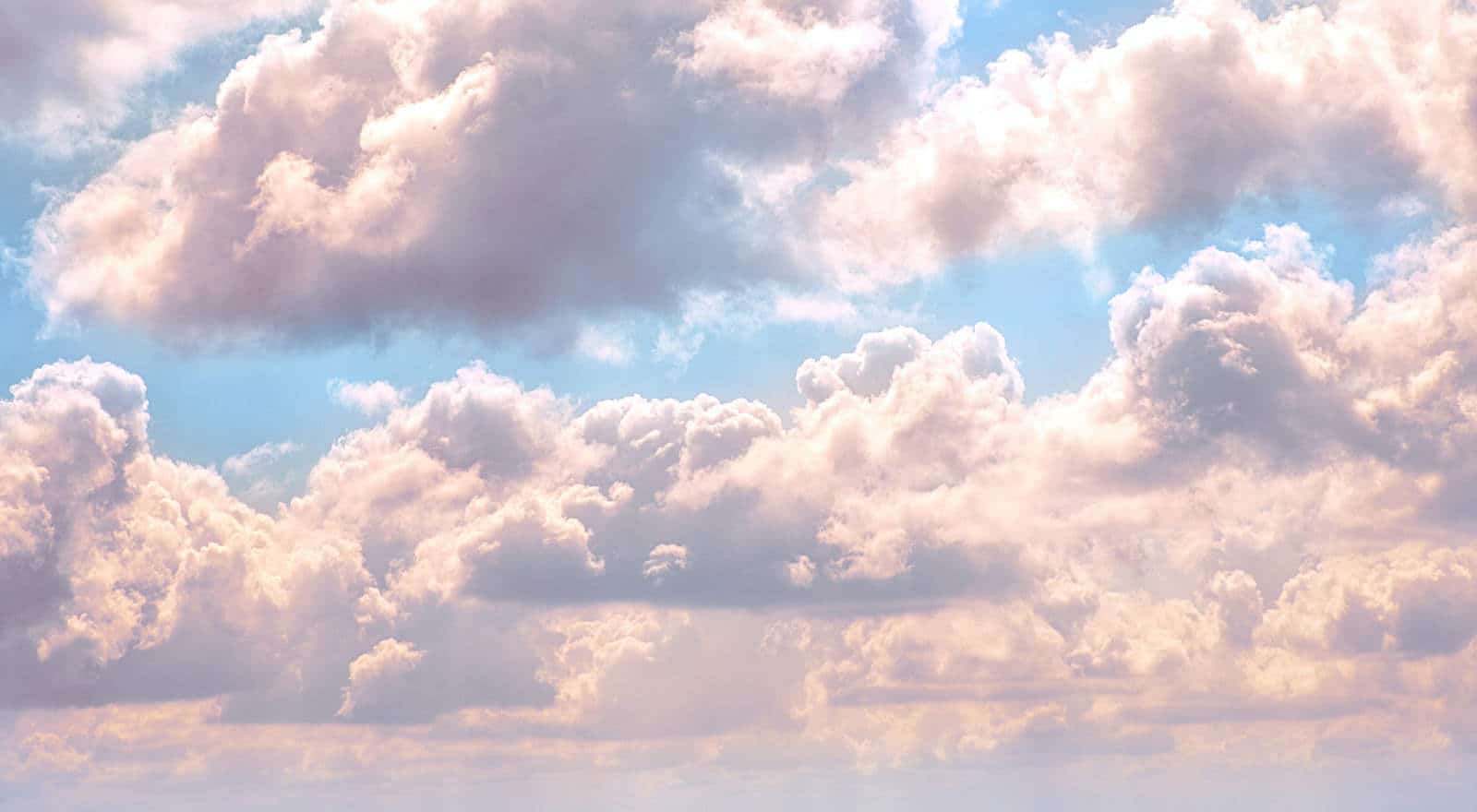 angel signs header