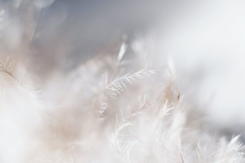 angel signs