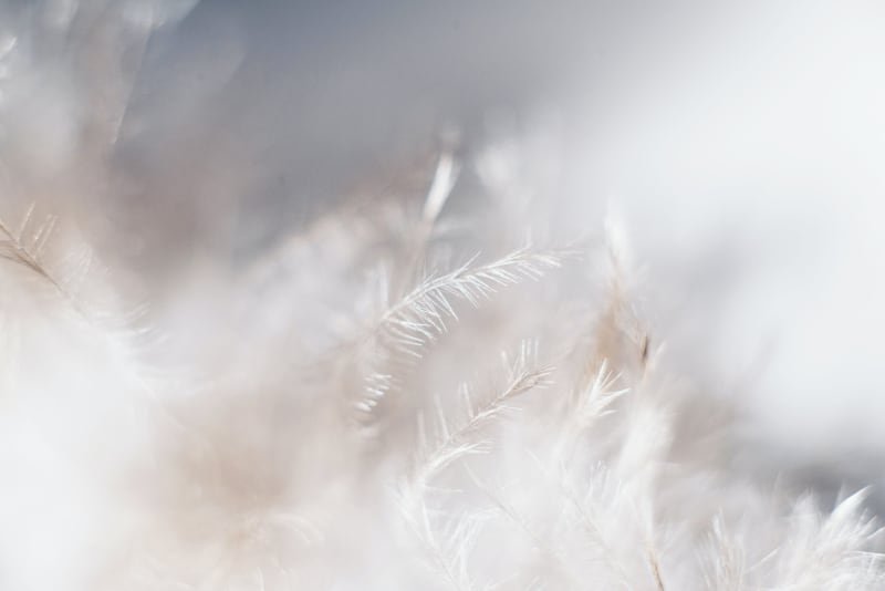 angel signs