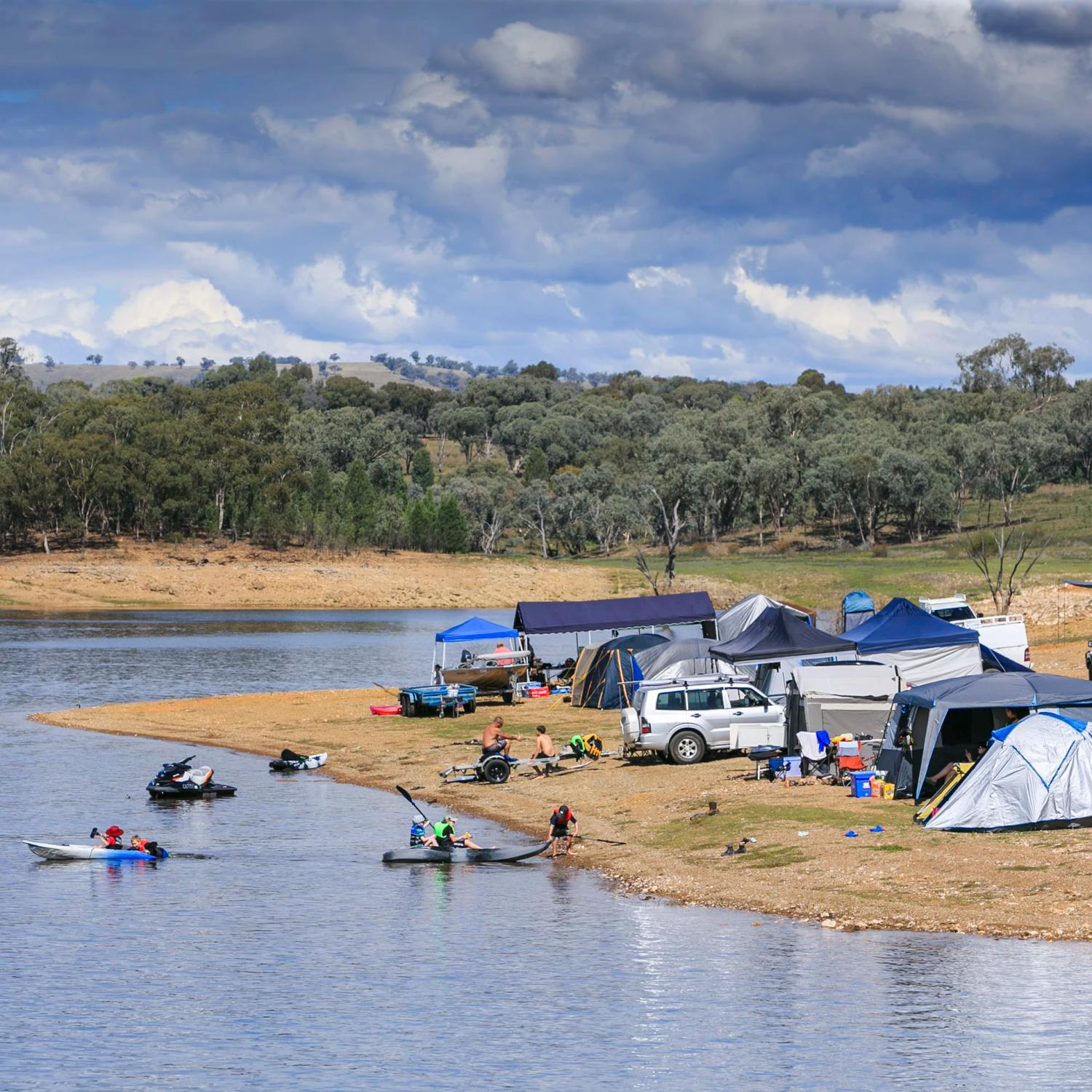 DogFriendly Camping Parks NSW Reflections Holiday Parks