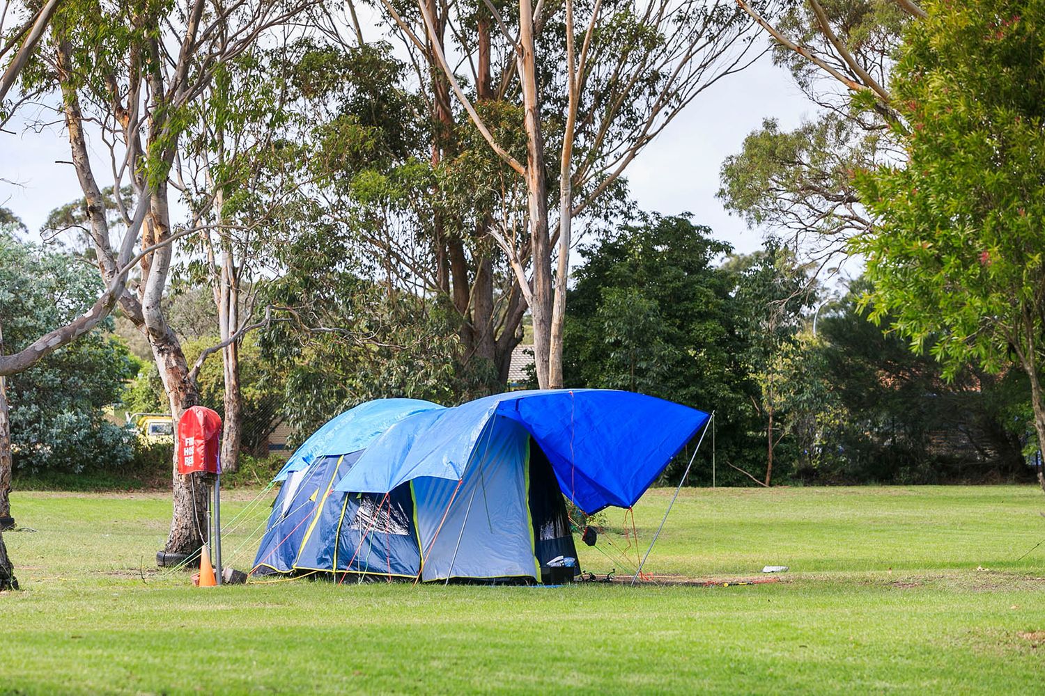 Pambula tent