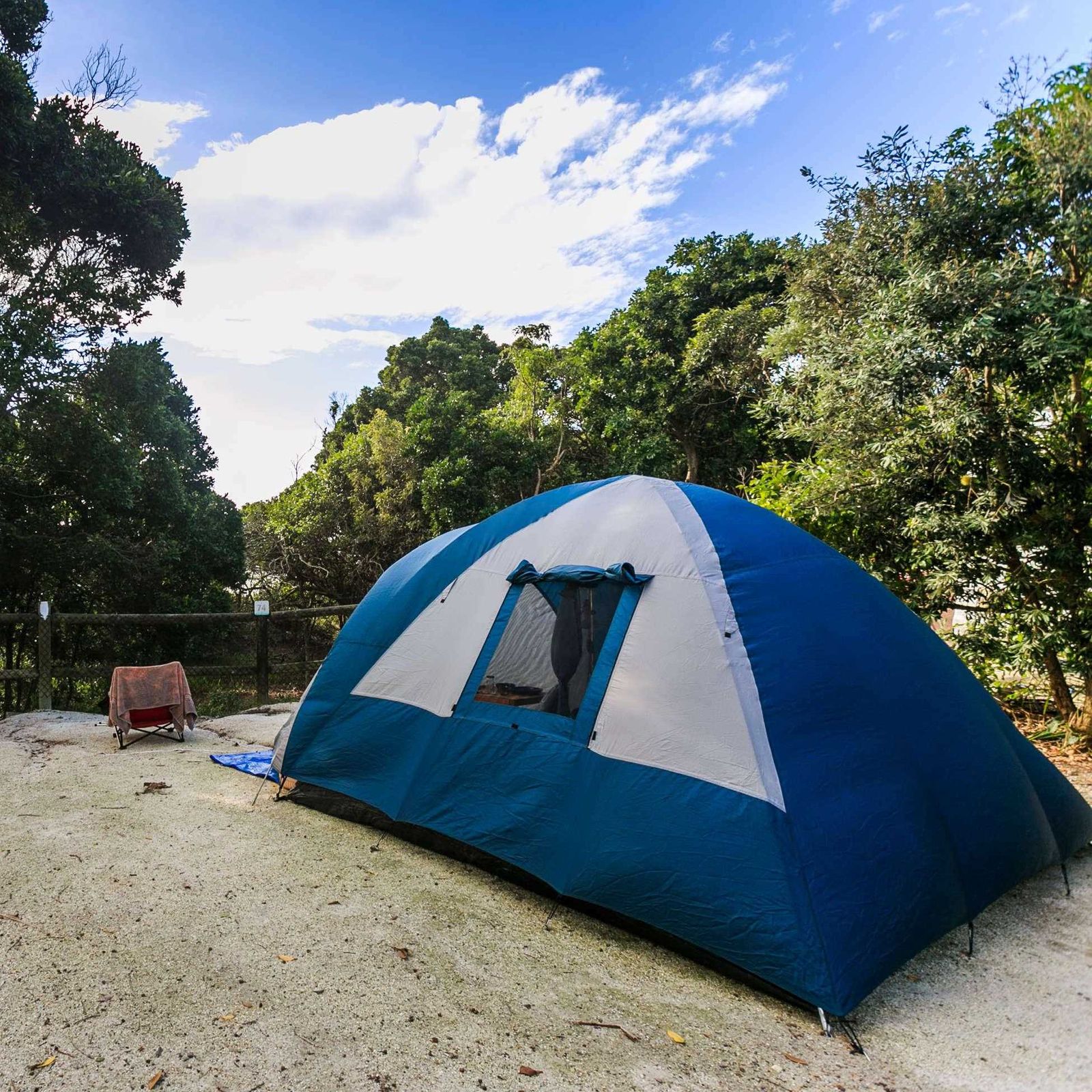 Campsites at Byron Bay Reflections Holiday Park