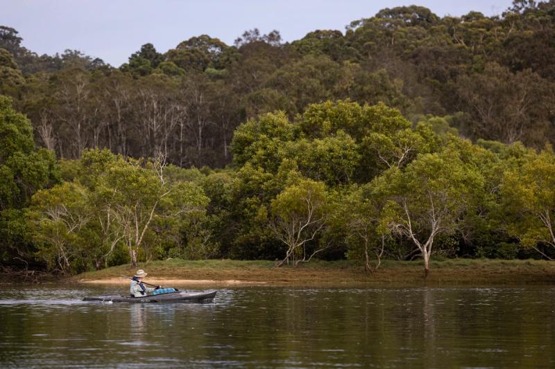 Kayaking in Ferry reserve