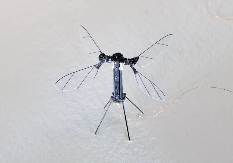Keeping an eye on the Drones: