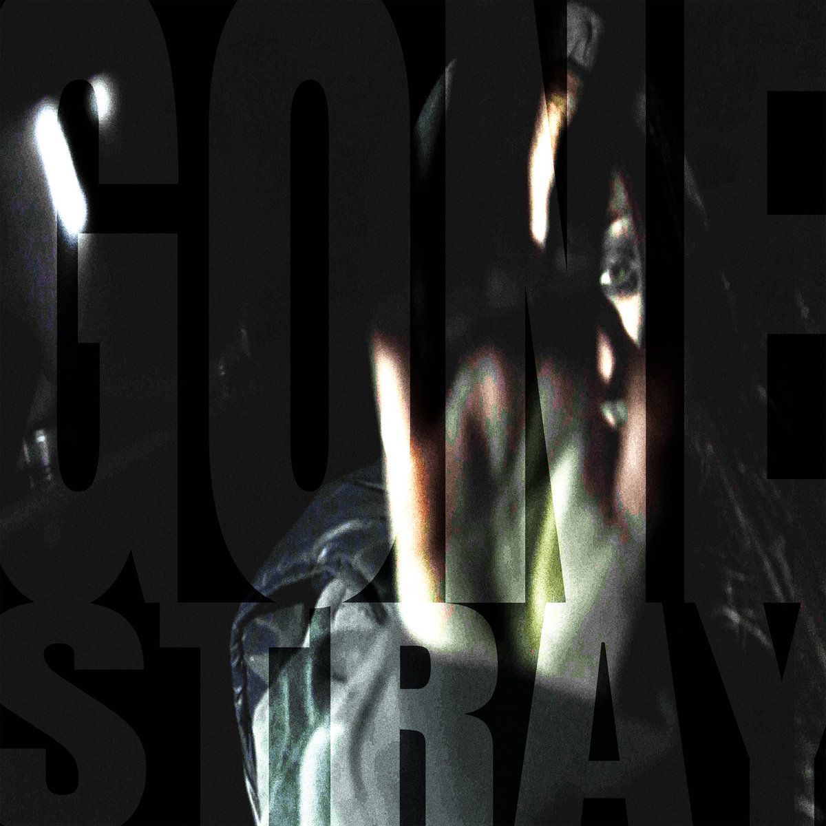 Gone Stray