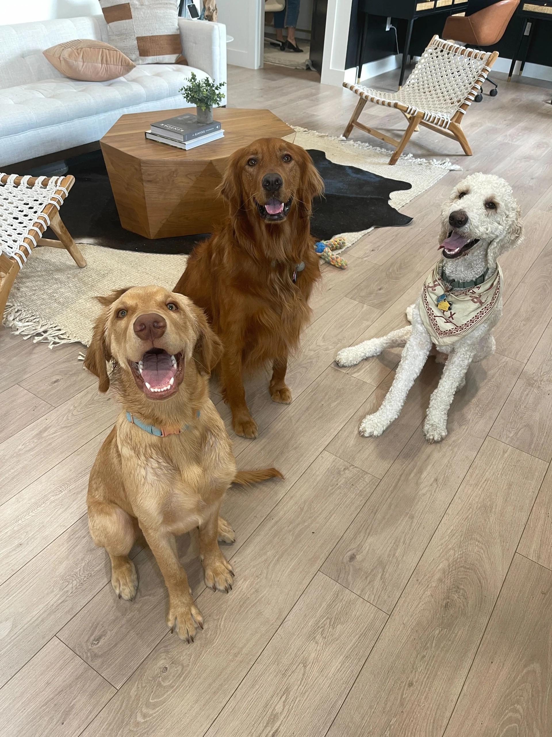 p7zg7wmnxlvj366f0mmr