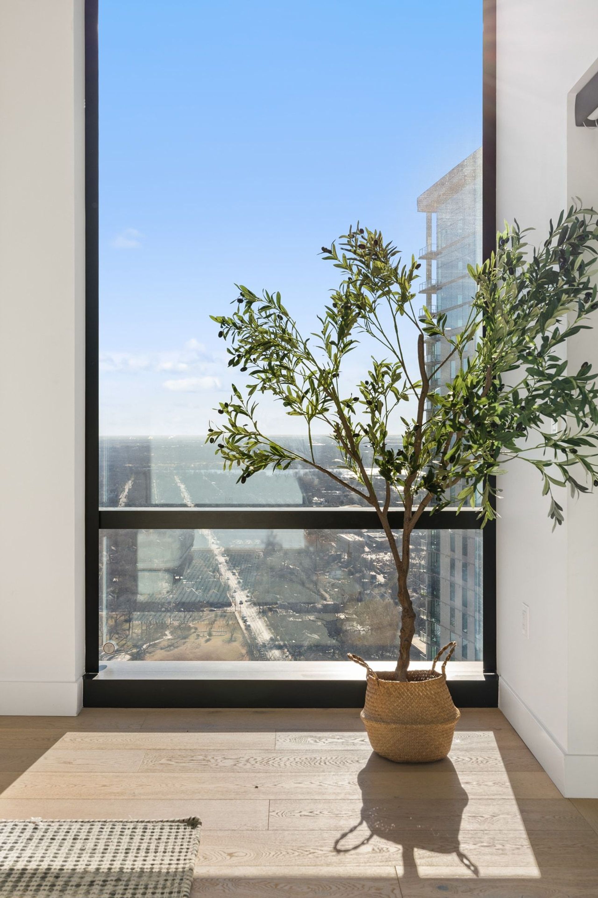 Elite-Austin-Home-Staging-Concierge-Funishing-Texas-70-Rainey-3203-image-12
