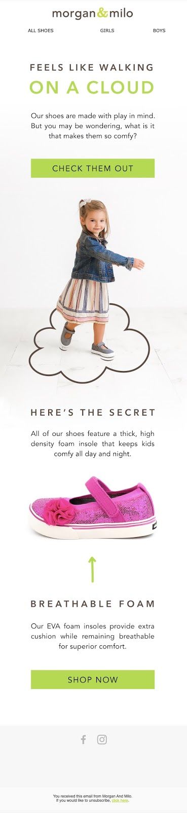 Newsletter Email Marketing Example Shopify