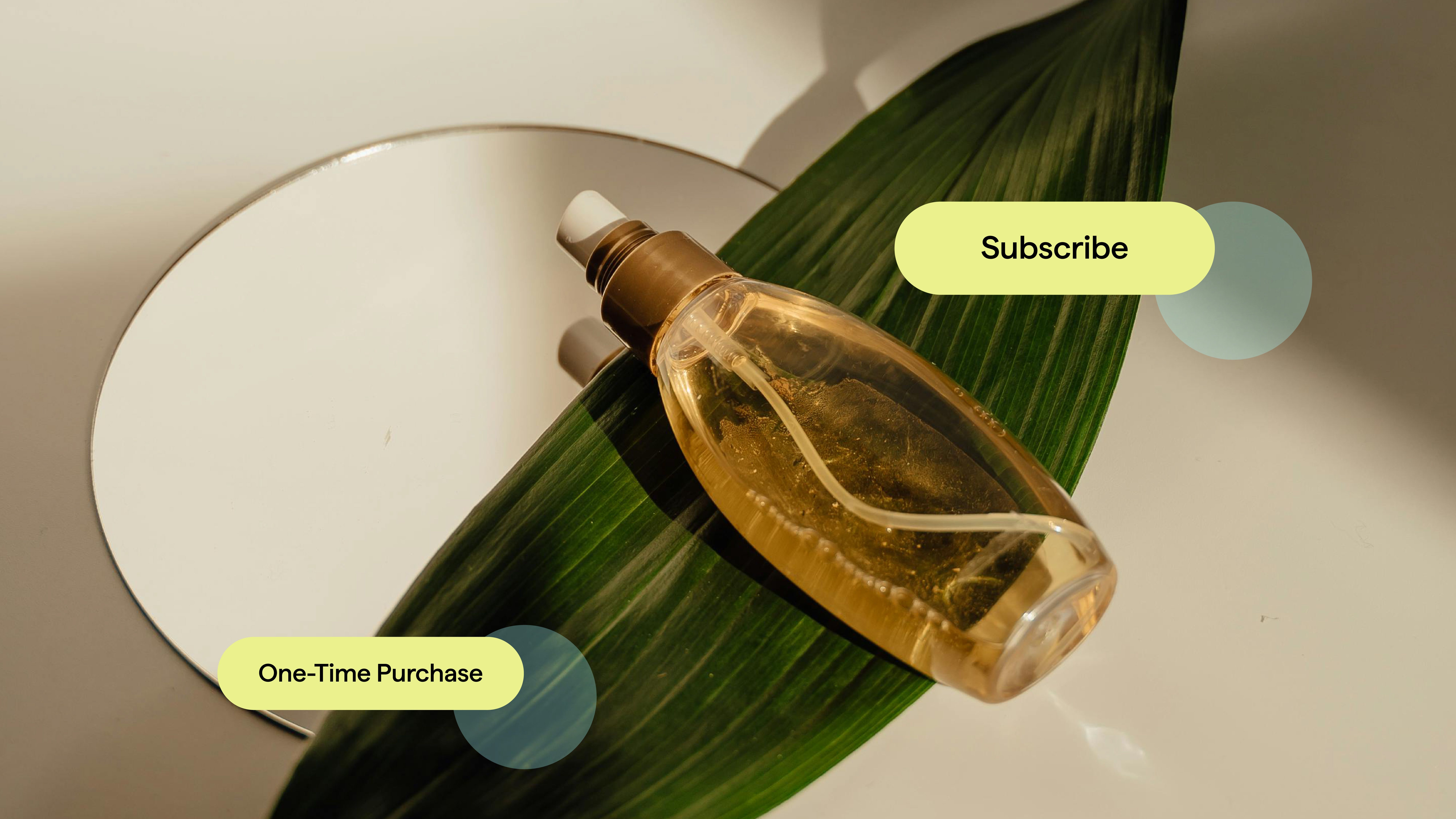 subscription vs one time purchases