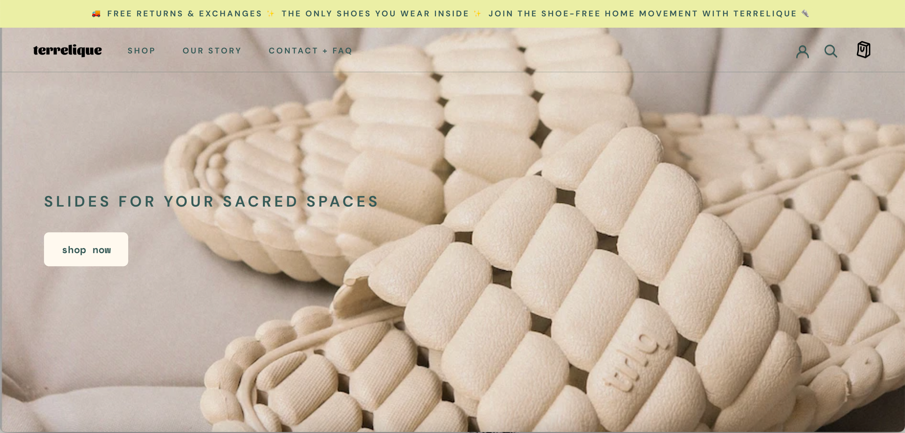 Screenshot from Terrelique's website