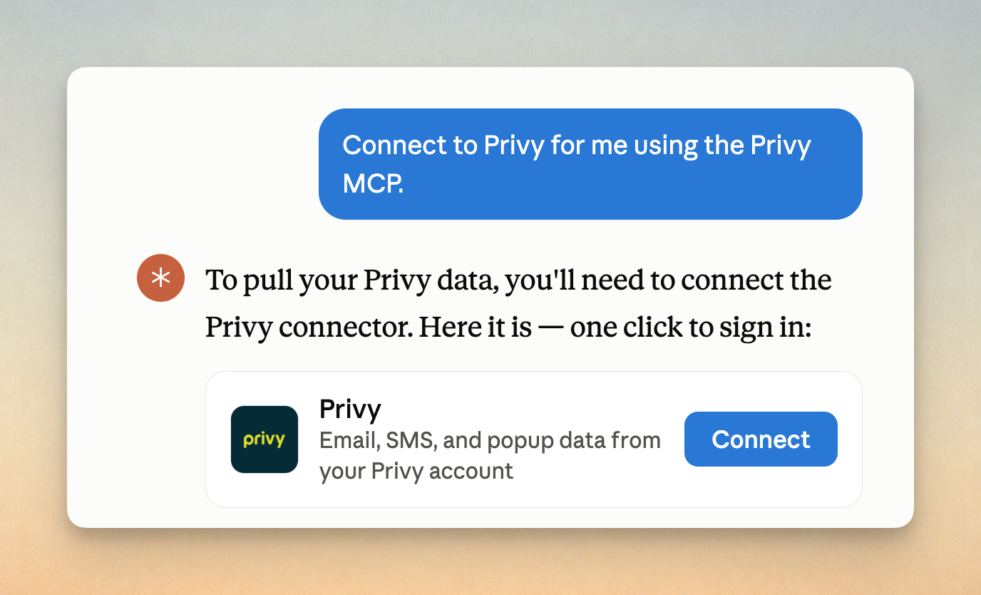Preview screen shot of Privys MCP connection