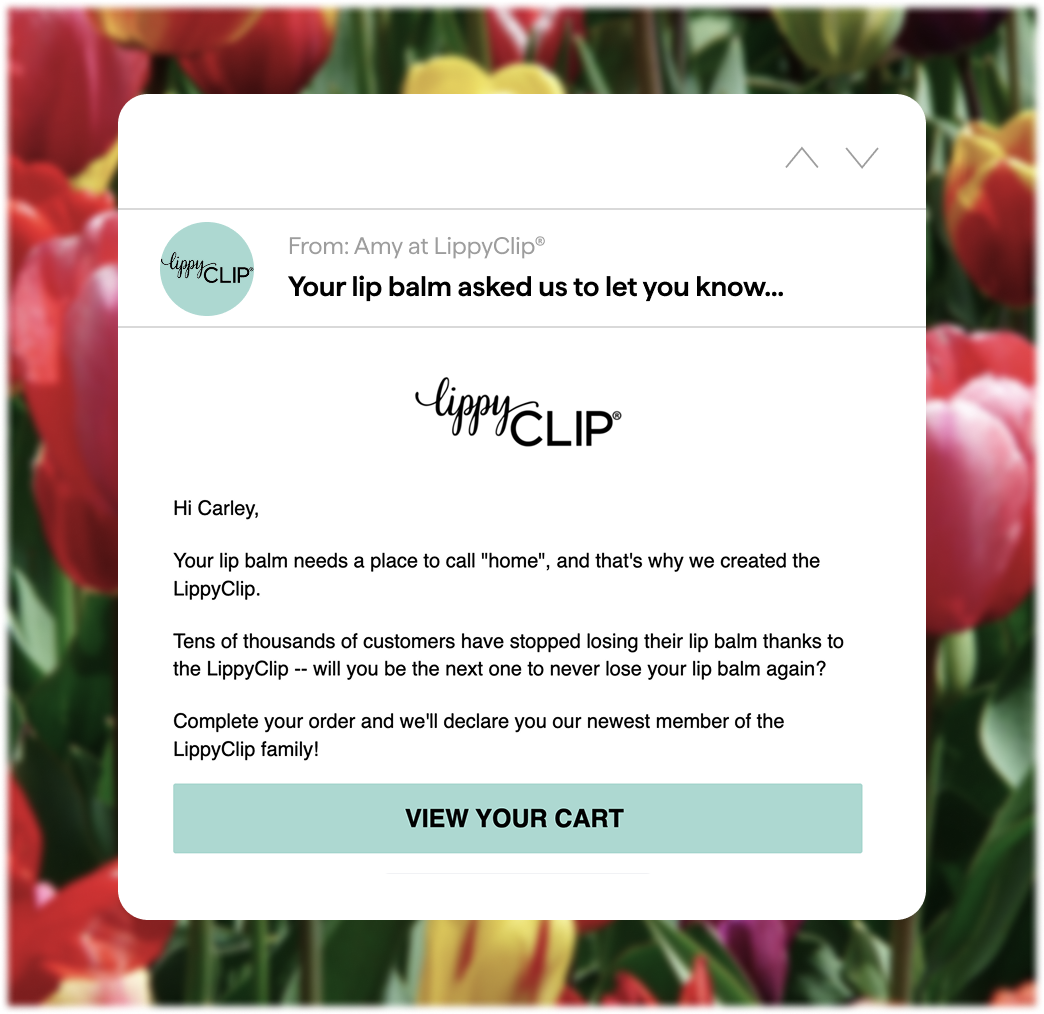LippyClip Abandoned Cart Email