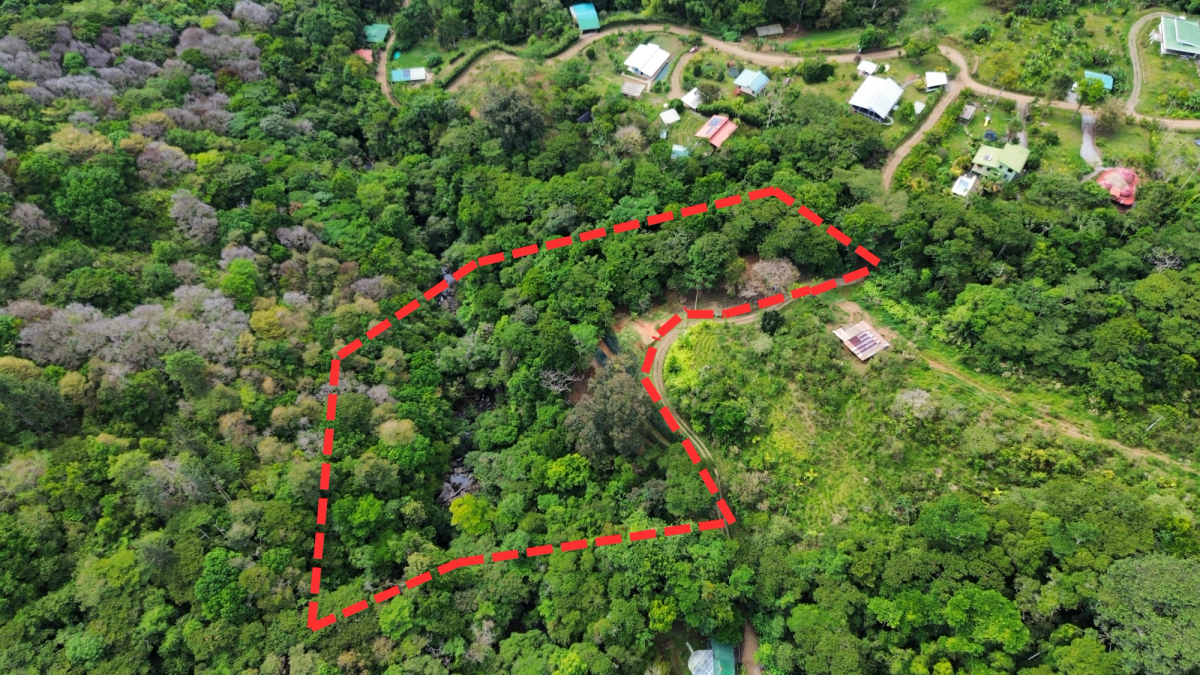 Serenity Garden 2.47 Acres Land
