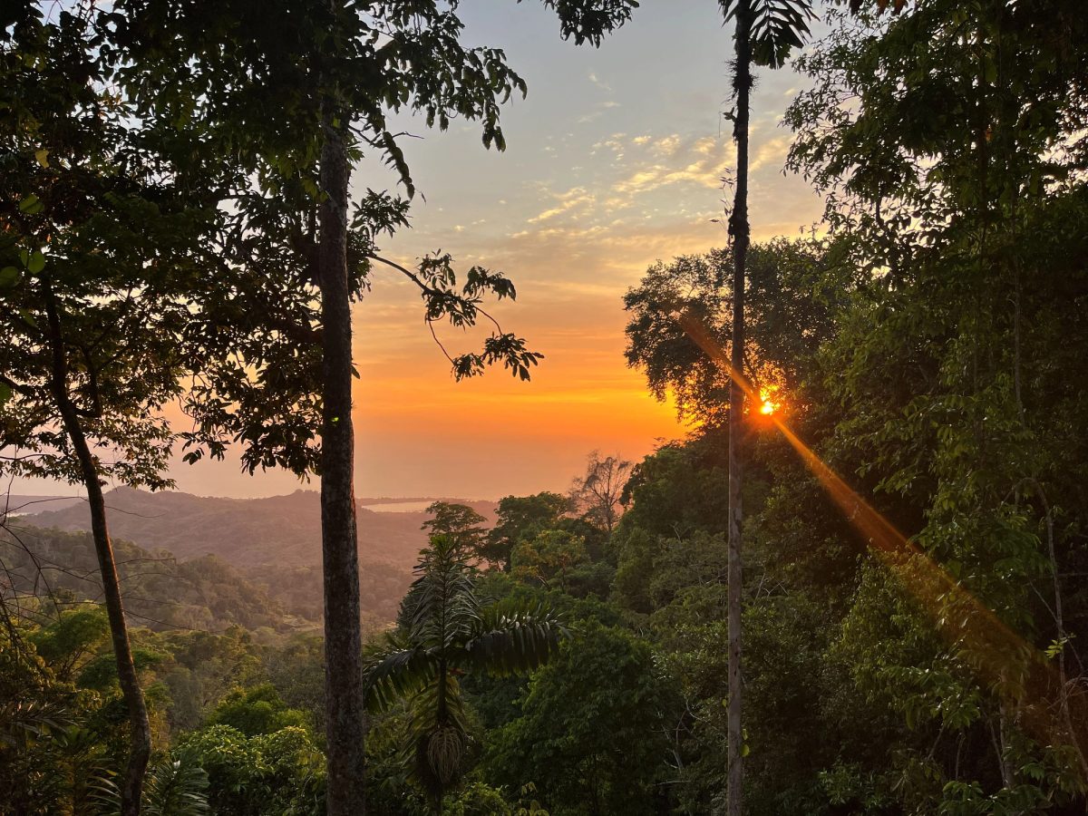 Vergel Mountain & Ocean Views, 35min from Ojochal.