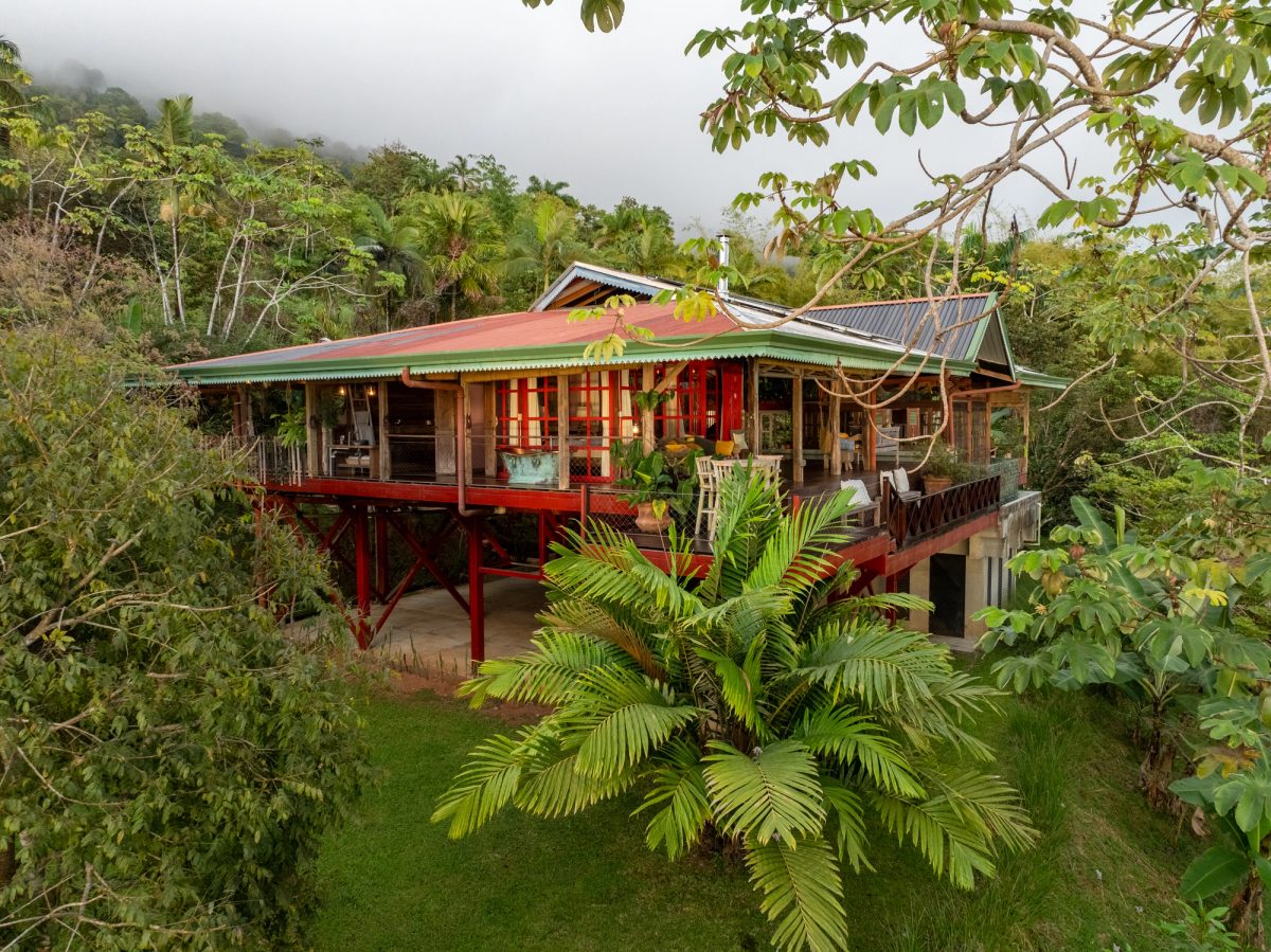 A Handcrafted Residence Immersed in Nature Above the Canopy Ocean View Arquitectural Home