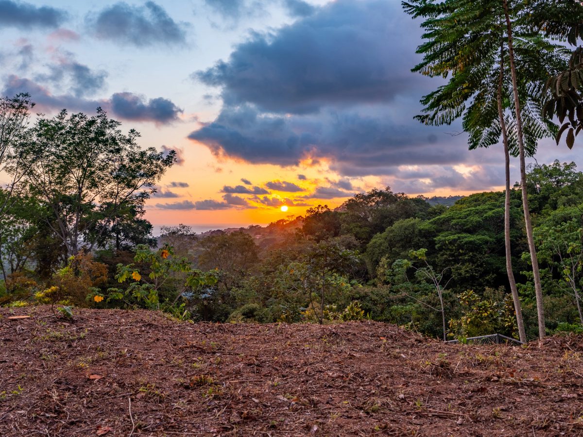 Ocean & Sunset View Lot for Sale in Ojochal, Costa Rica | 3,964 m² Ready-to-Build