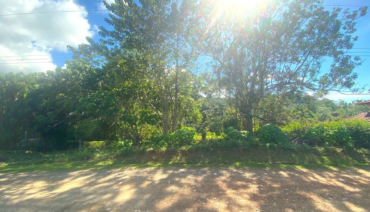 Spectacular Residential lot with panoramic Ocean View, overlooking Ojochal