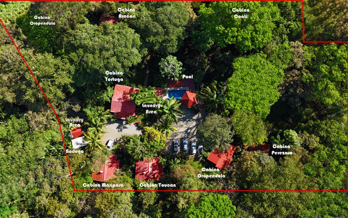 8 Cabinas with Swimming Pool on Lush Jungle Property in Uvita