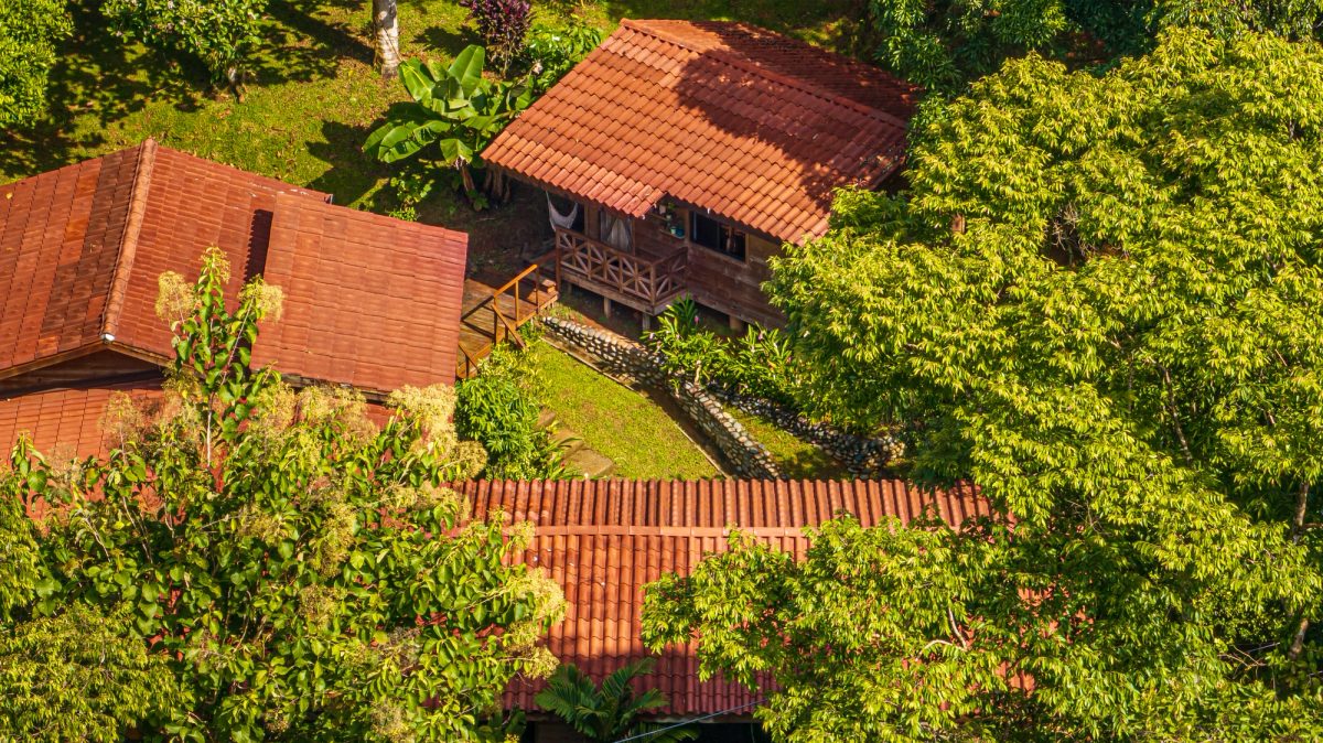 A Jungle House Built of Wood & River Dreams