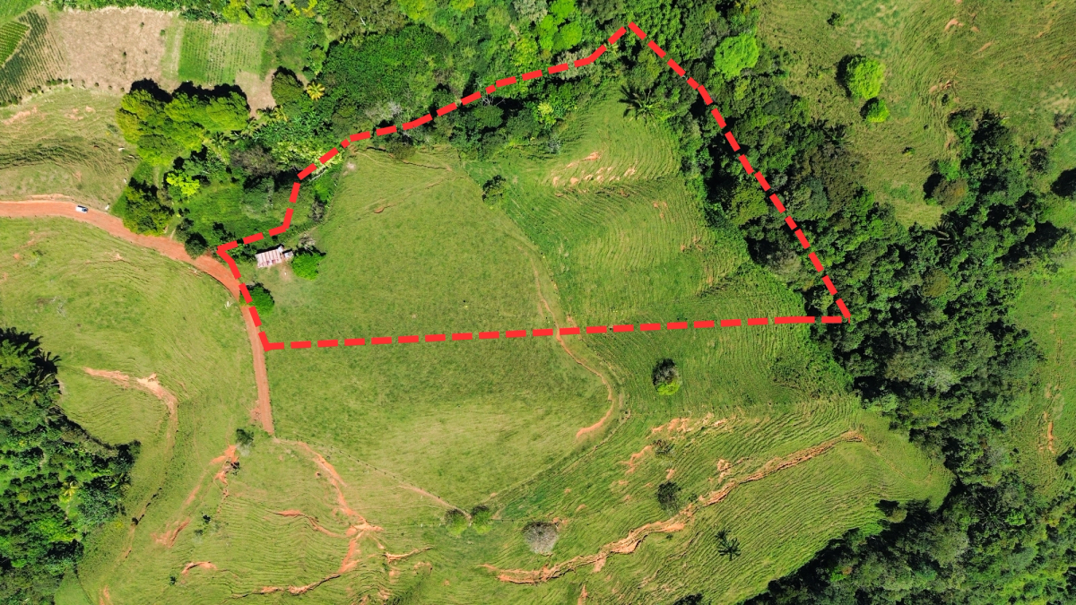 4.5 Acres Moctezuma Farm San Isidro