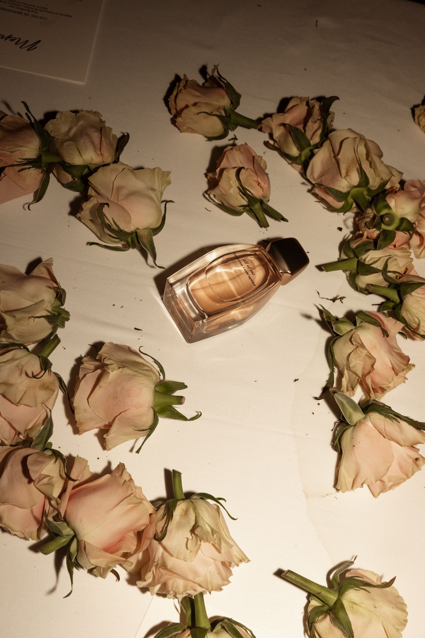 Narciso Rodriguez — image 4