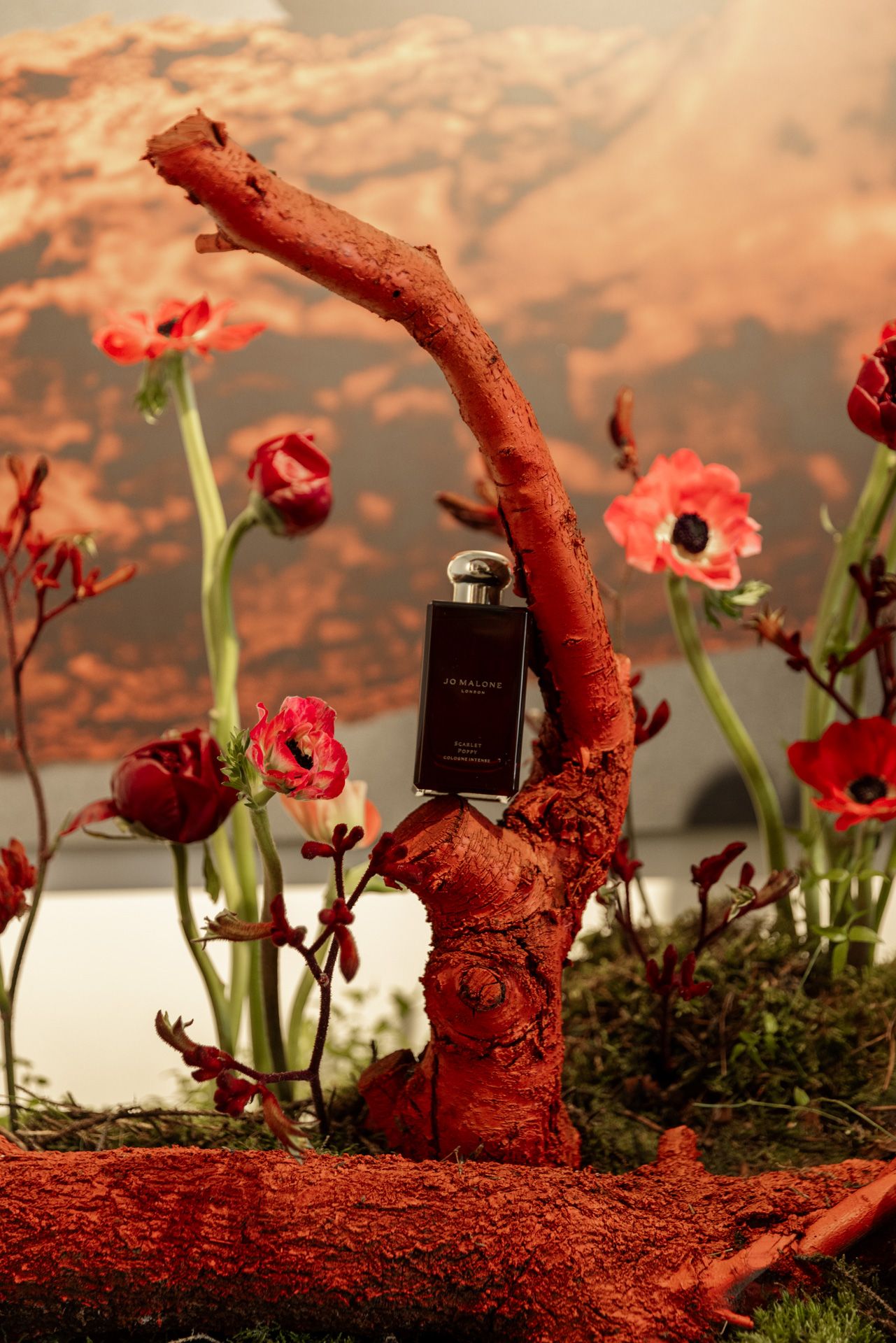 Jo Malone — image 1