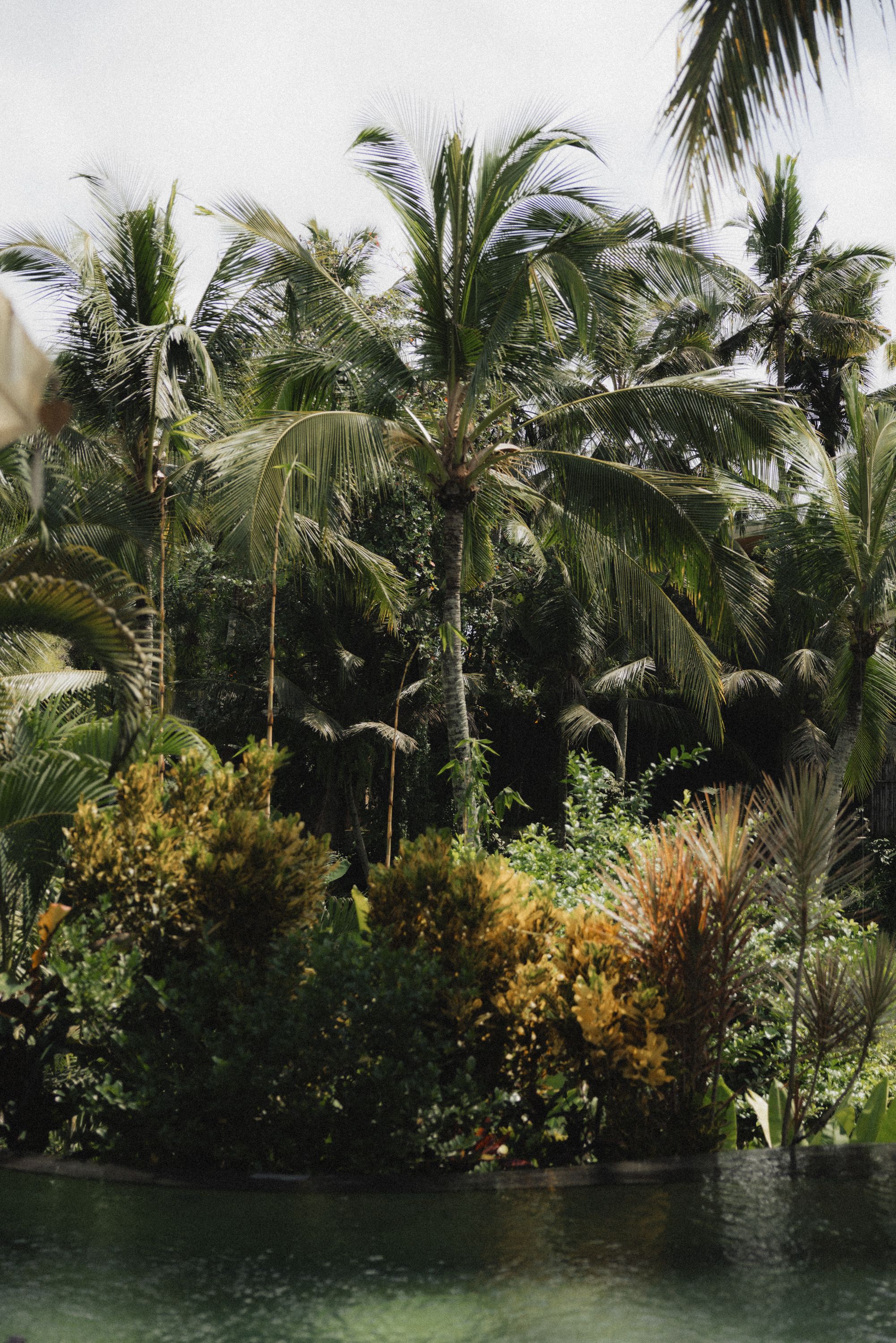 Casa Veranda
Ubud - Bali — image 4