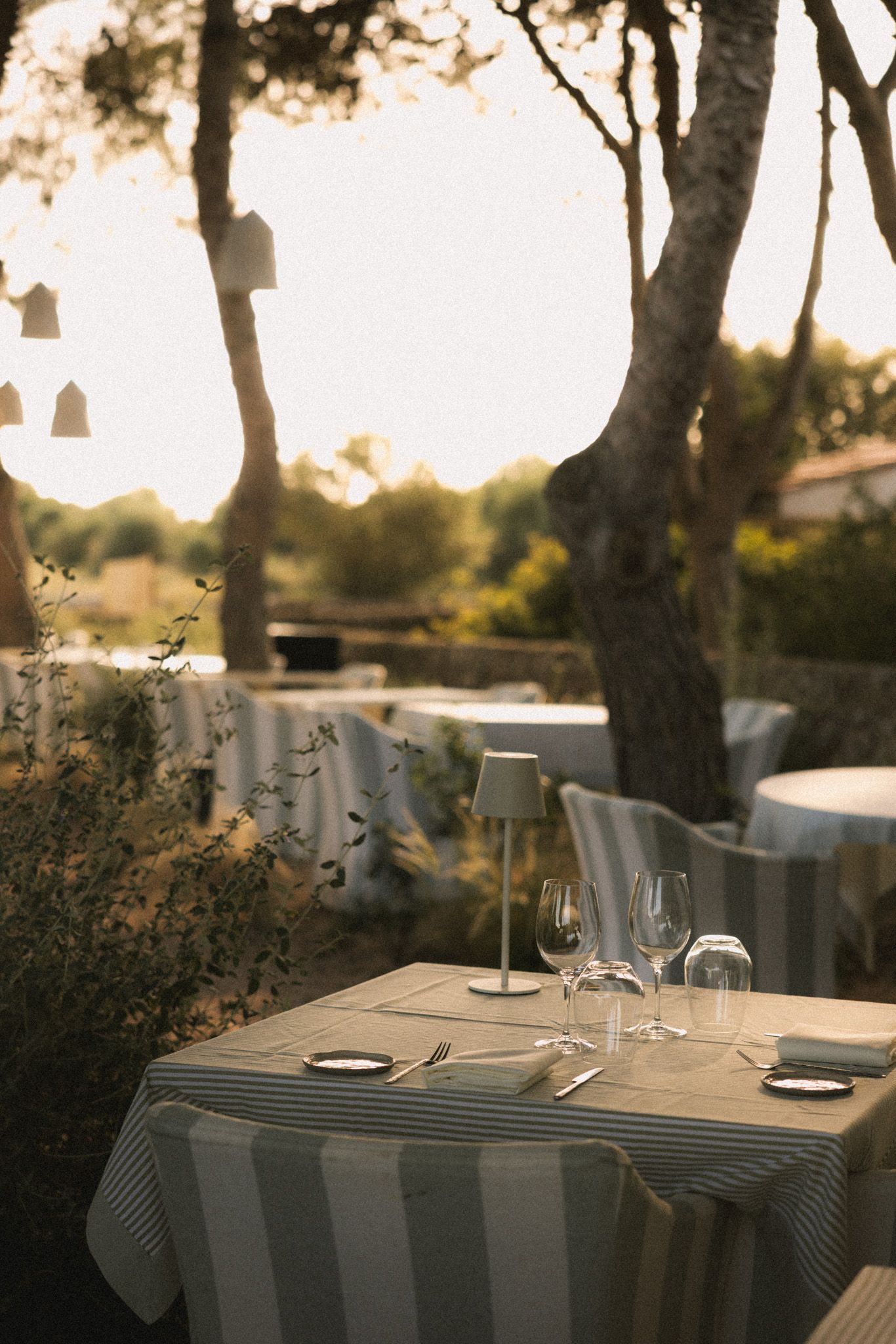 Morvedra Nou Menorca — image 17