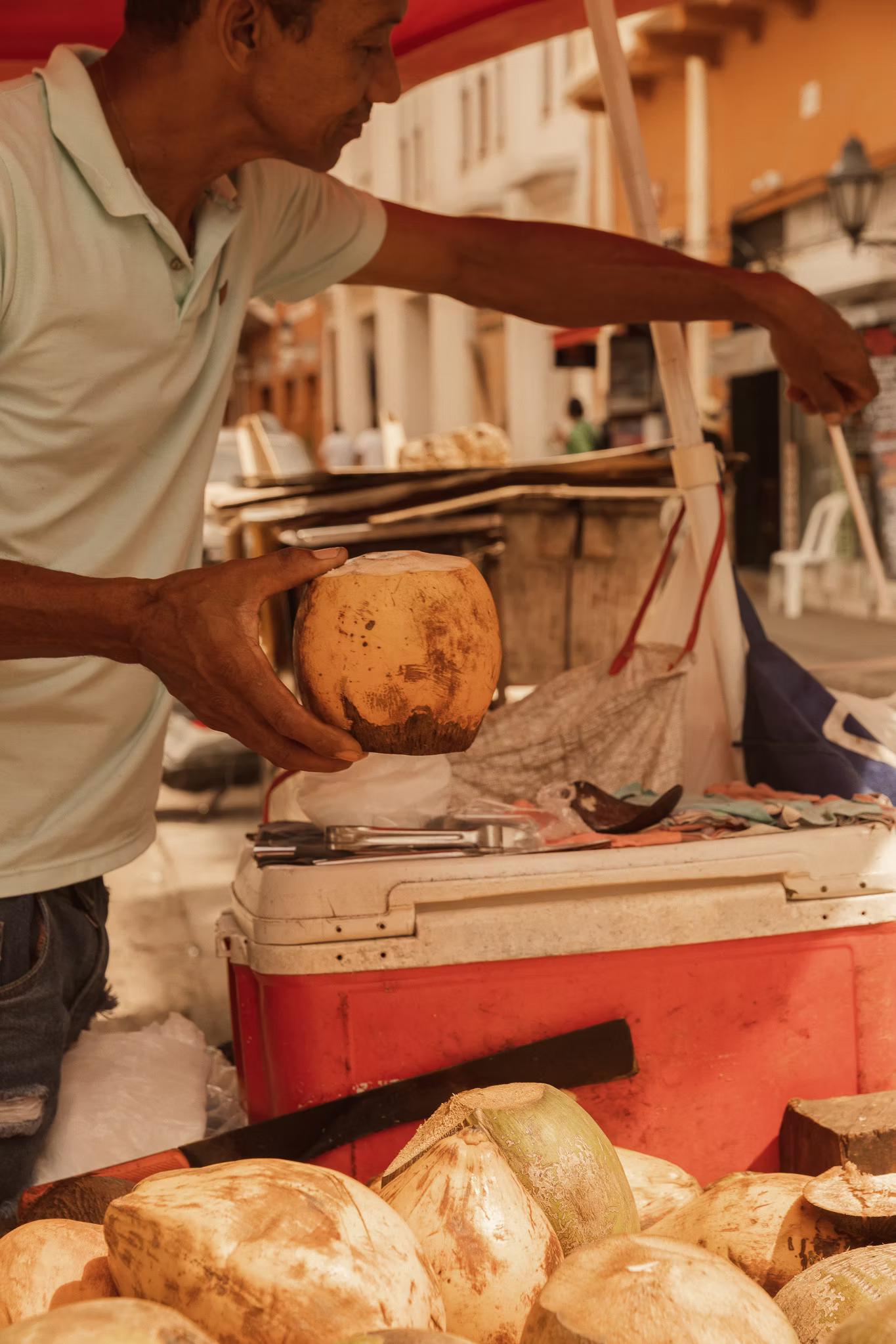 Fagoa Cartagena de Indias — image 20