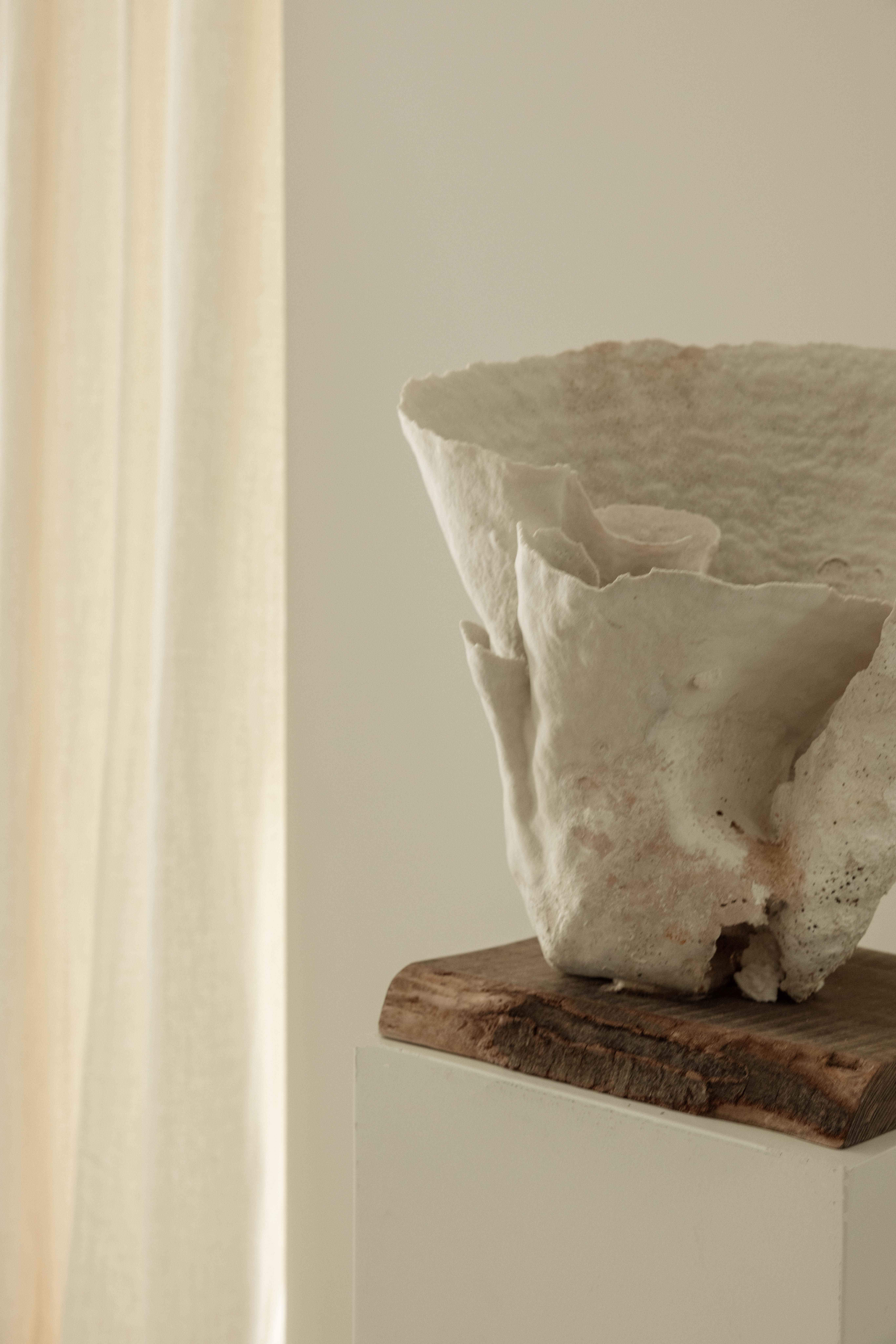 Mestizo Studio — image 12