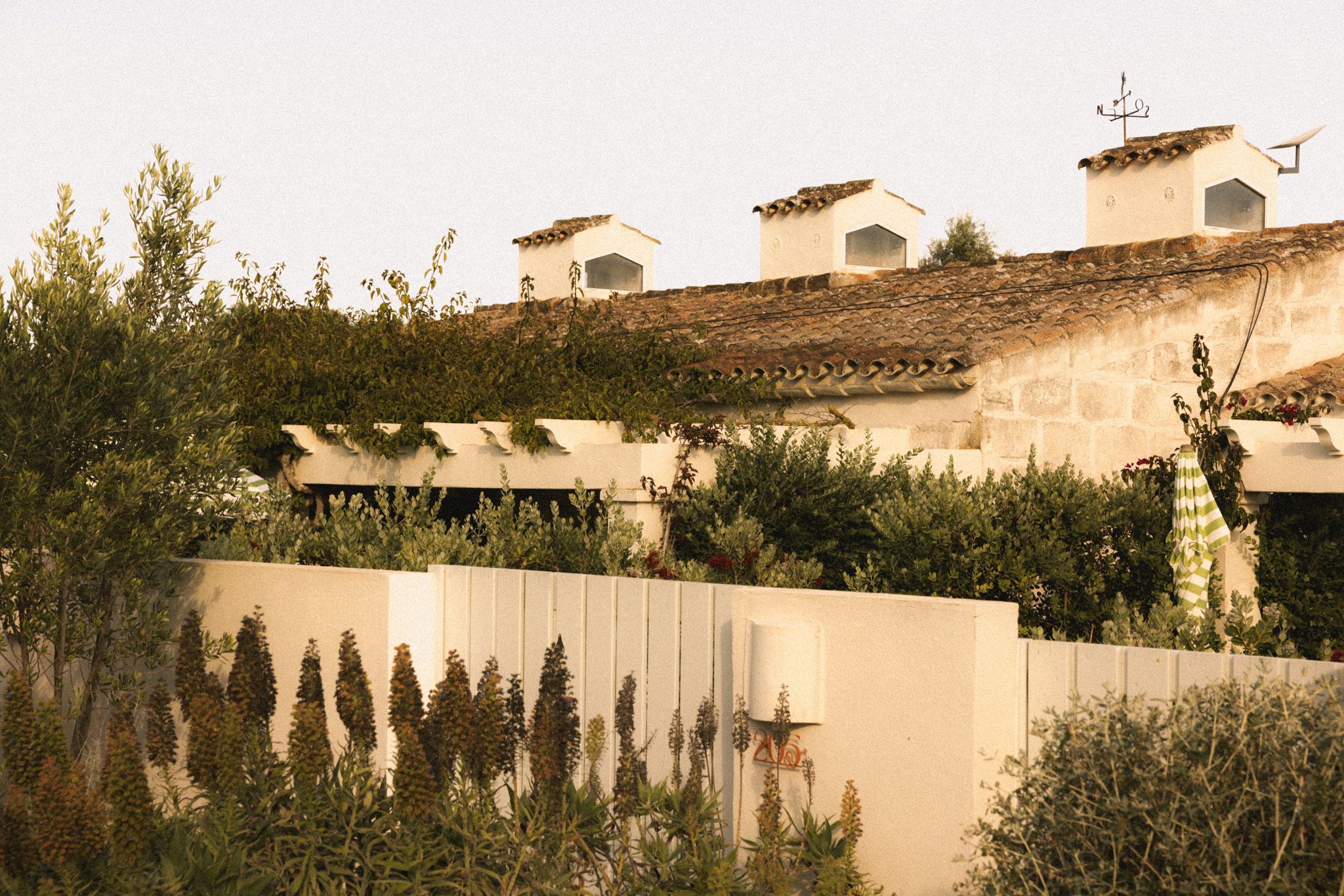 Morvedra Nou Menorca — image 2