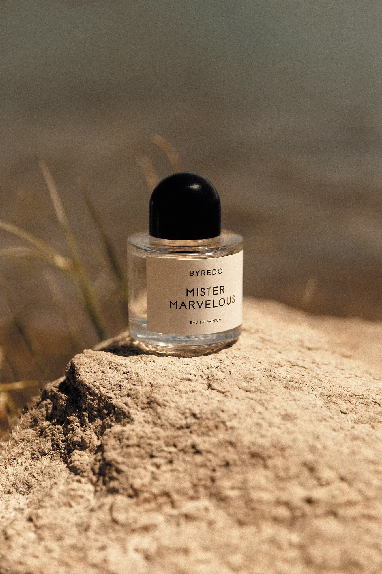 FORBES — image 3