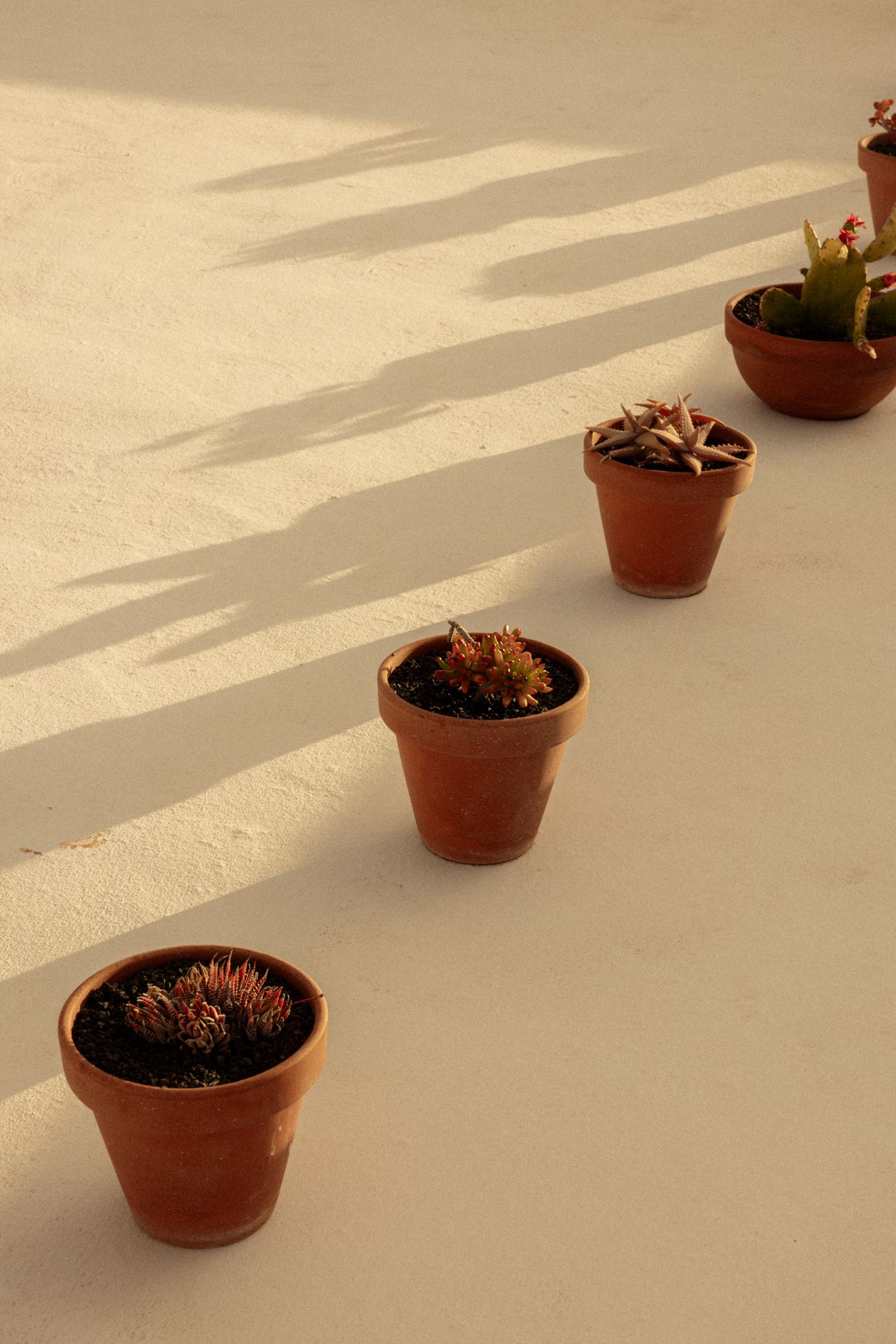 Cesar Hotel Lanzarote — image 5