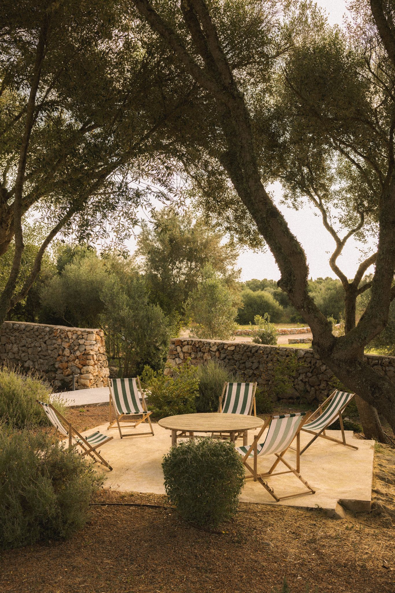 Morvedra Nou Menorca — image 19