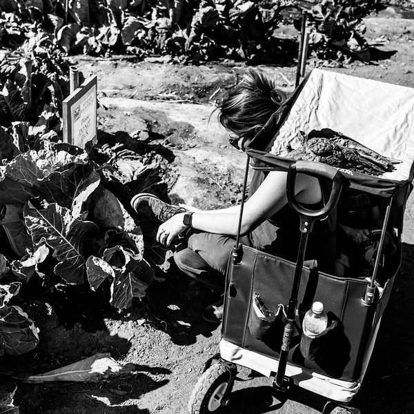 46 continuousFeasting