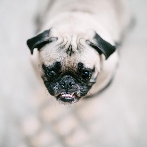 36 continuousFeasting