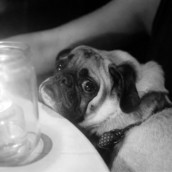 21 continuousFeasting