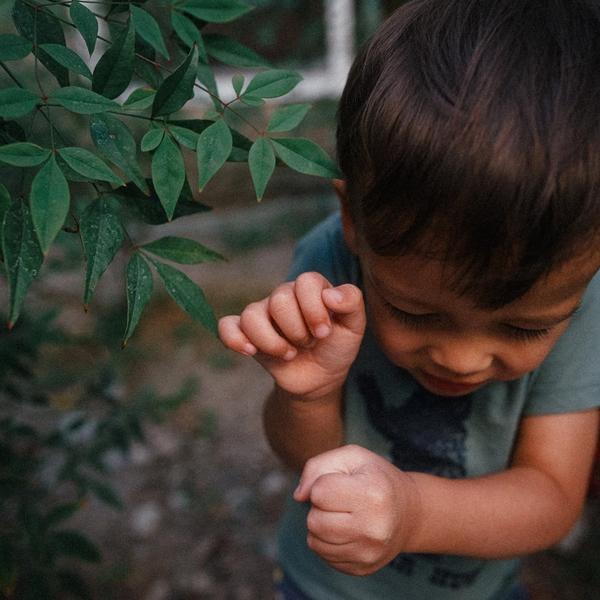 41 continuousFeasting