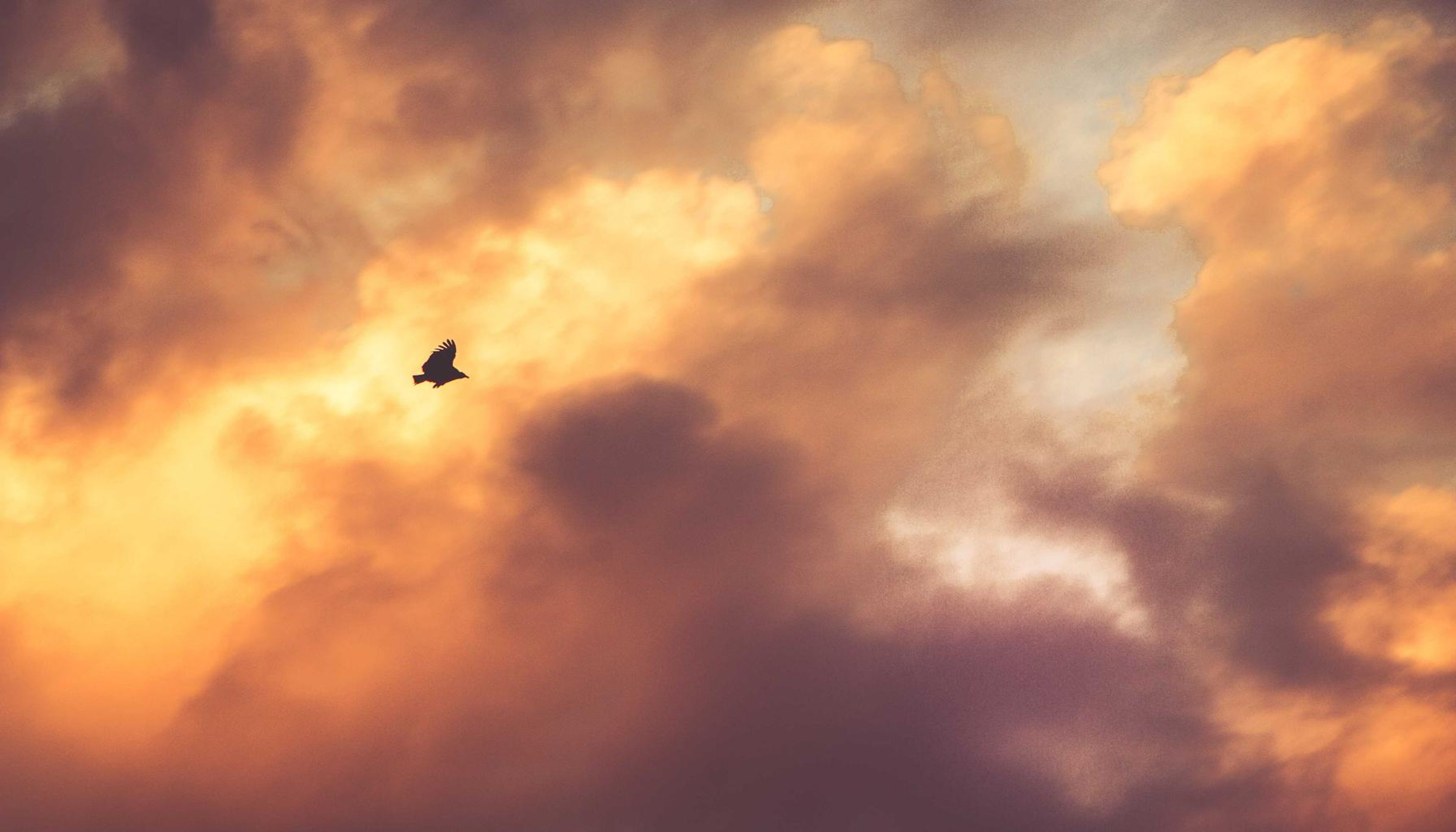 AI workflow automation