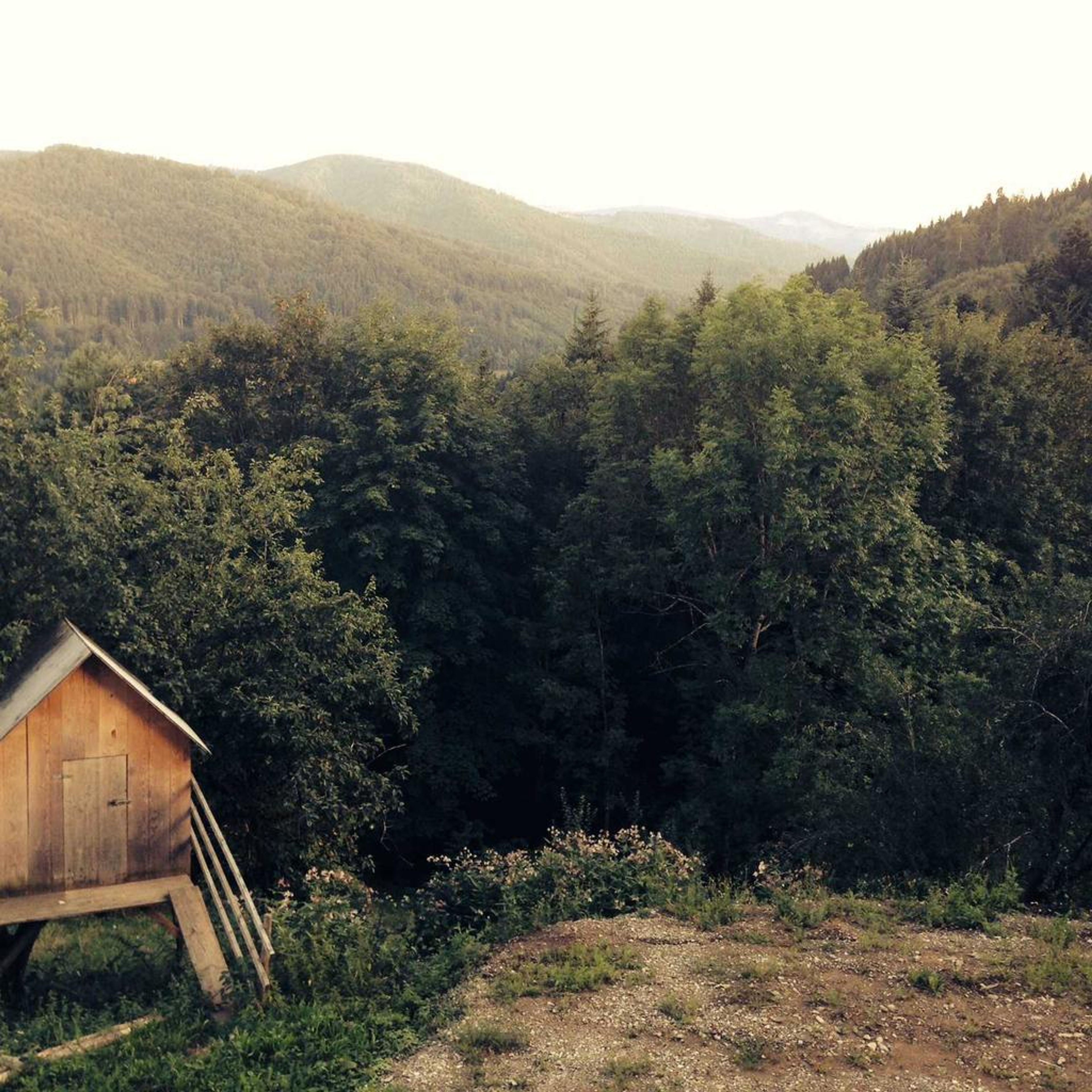 AI safety regulation California executive order